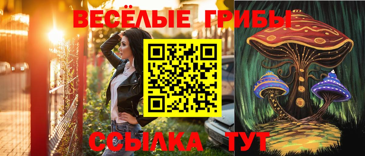 Карасук  Псилоцибиновые грибы ЛСД  где продают наркотики  Вход с VPN  Галлюциногенные грибы мухоморы 