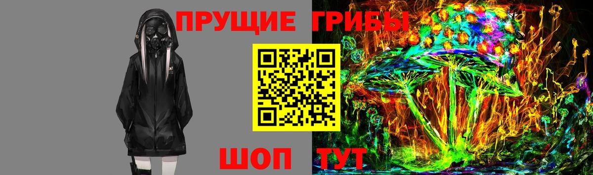 Псилоцибиновые грибы Psilocybine cubensis Карасук