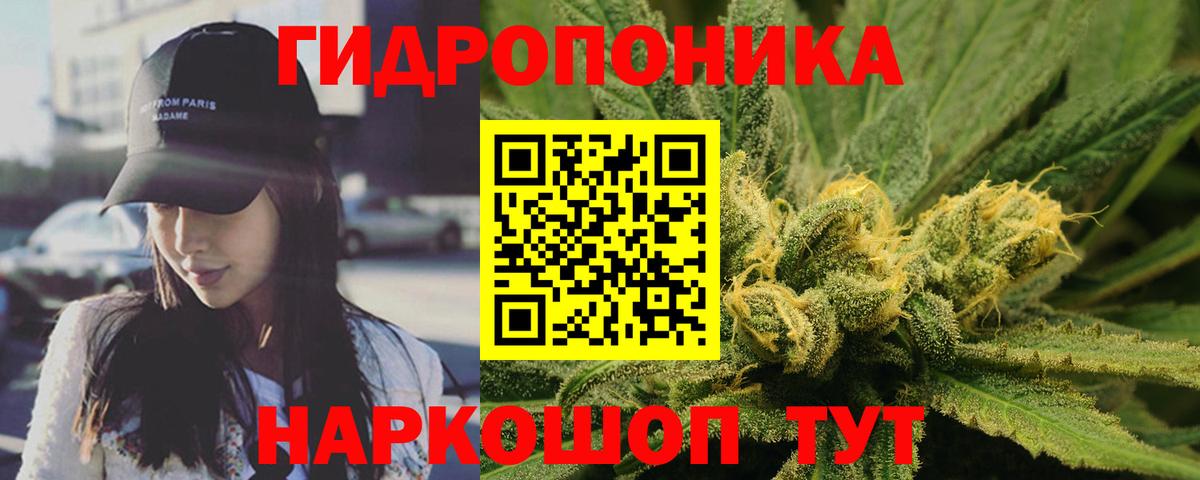 Шишки марихуана индика  Вход с VPN  Бошки Шишки тримм  МАРИХУАНА марихуана  Карасук 